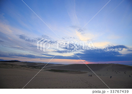 鳥取砂丘 鳥取砂丘 33767439