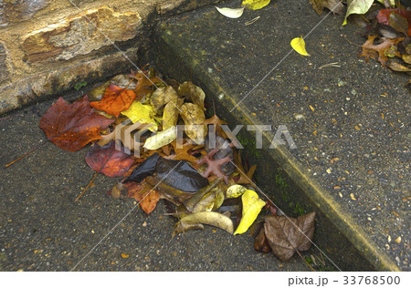 Fallen leaves accumulate on steps of stone stairs. Fallen leaves accumulate on steps of stone stairs. 33768500