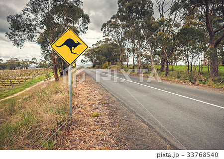 Kangaroo road sign in Australia 33768540
