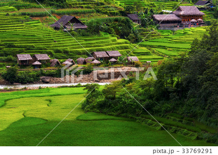 Beautiful scene of rice fields and terrace Beautiful scene of rice fields and terrace 33769291