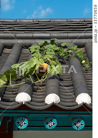 南山コル韓屋村 ソウル 韓国 33770659