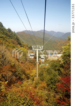 紅葉 茂朱リゾート 全北 33771161