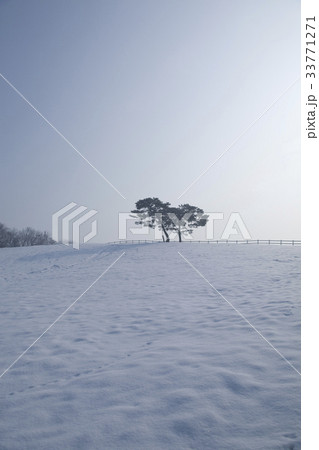 冬 京畿道 キョンギド 33771271