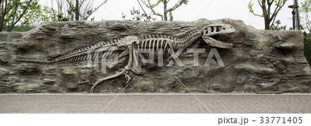 京畿道 キョンギド 恐竜の骨 33771405