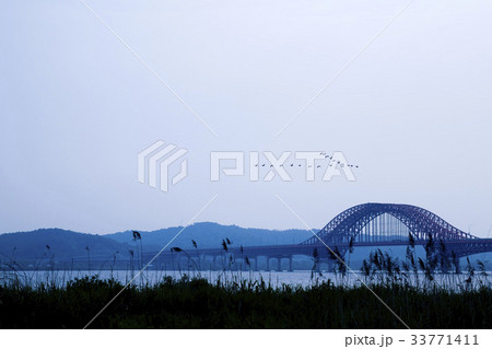 ガチョウ 放火大橋 ソウル 33771411