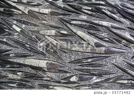 石 博物館 自然史博物館 33771492