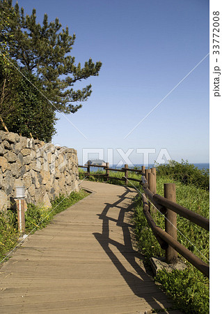 蚊島 島 オレの道 33772008