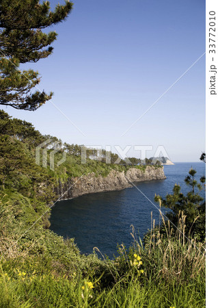 蚊島 西帰浦市 島 33772010