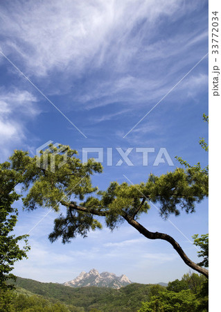 京畿道 キョンギド 北朝鮮産 33772034