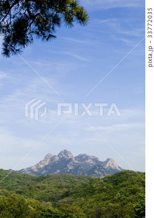 京畿道 キョンギド 北朝鮮産 33772035