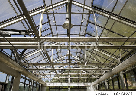 江原道 温室 天井 33772074