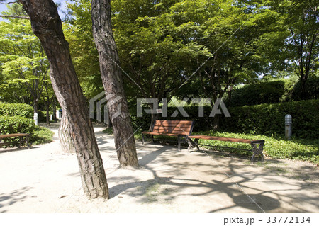 江南区 公園 ベンチ 33772134