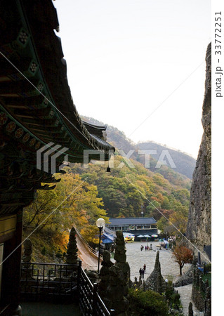 マイサン 全北 塔寺 33772251