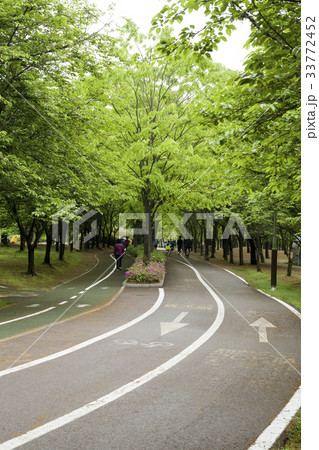 京畿道 キョンギド 高陽市 33772452