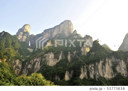 木 張家界 崖 33773638