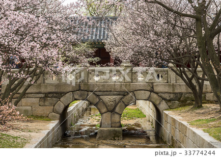橋 ソウル オクチョンギョ 33774244