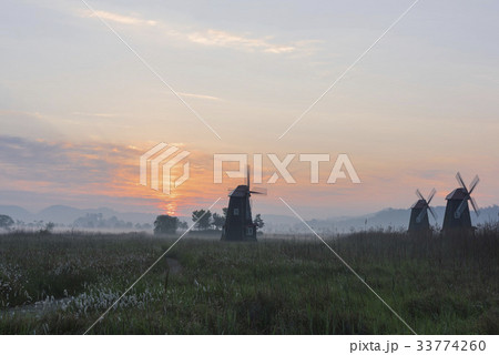 生態公園 仁川 インチョン 33774260