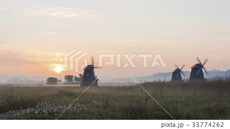 生態公園 仁川 インチョン 33774262