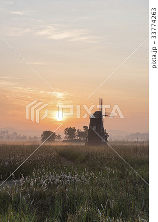 生態公園 仁川 インチョン 33774263