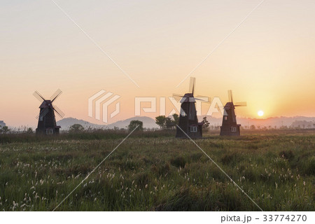 生態公園 仁川 インチョン 33774270