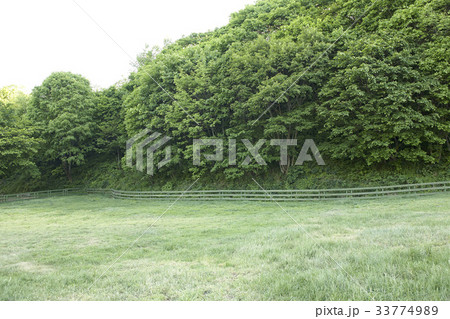 江原道 大関嶺 羊牧場 33774989