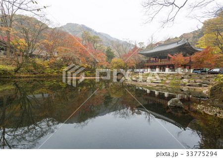 白羊寺 サンギェル 全羅南道 33775294