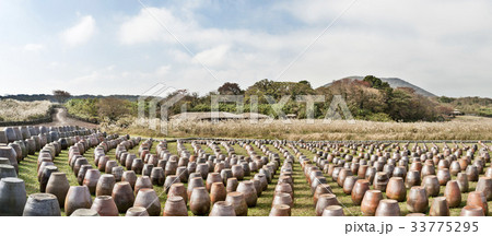 かめ つぼ 済州島 33775295