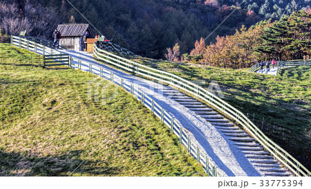 江原道 大関嶺 羊牧場 33775394