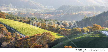秋 江原道 大関嶺 33775395