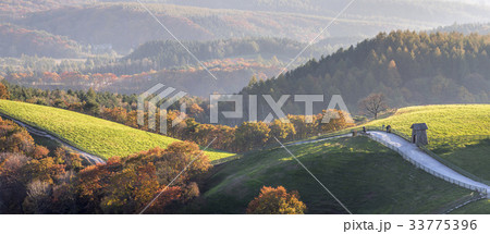 江原道 大関嶺 羊牧場 33775396