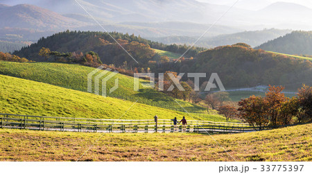 秋 江原道 大関嶺 33775397