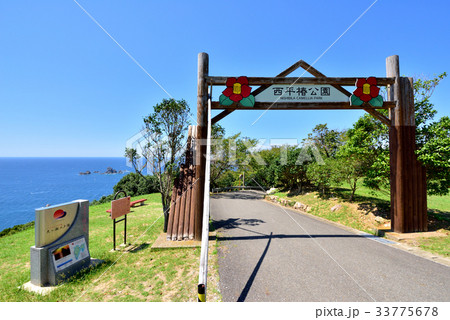 天草西海岸サンセットライン　西平椿公園　熊本県天草市 33775678