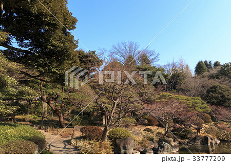 庭園風景（東京、旧古河庭園、冬・早春編） 33777209