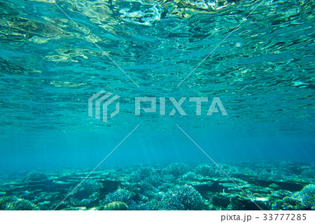 underwater scene with copy space 33777285