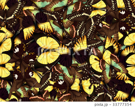 Seamless pattern with lot of different butterflys Seamless pattern with lot of different butterflys 33777354