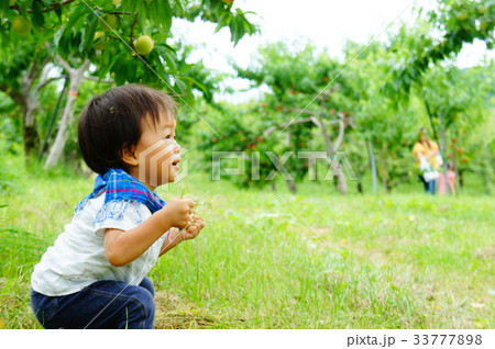草原で遊ぶ男の子 草原で遊ぶ男の子 33777898