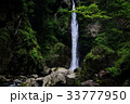 根尾の滝 33777950
