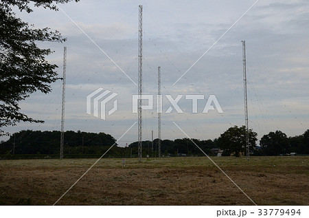 ログペリオディック・アンテナ 33779494