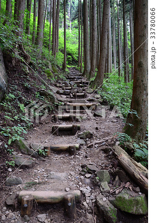 丸太階段の山道 33780066