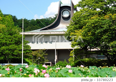 千秋公園のお堀 広小路の旧平野美術館と晩夏の蓮 千秋公園のお堀 広小路の旧平野美術館と晩夏の蓮 33780223