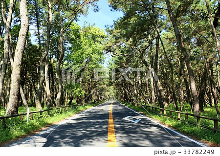 佐賀県　虹の松原 33782249