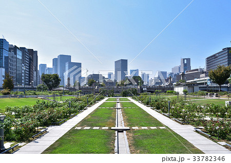 中之島バラ園と大阪都心部の風景 33782346