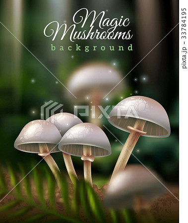 Magic Mushrooms Background 33784195