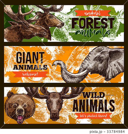 Wild animals vector zoo or save animal banners Wild animals vector zoo or save animal banners 33784984