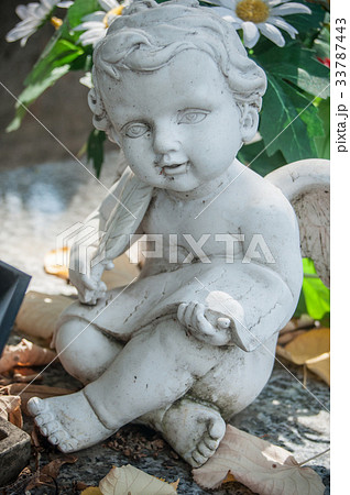 closeup of stoned angel in cemetery 33787443