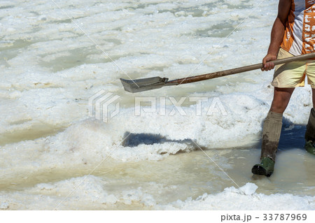 Worker shoveled the salt crystallizes  33787969