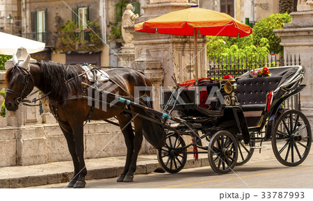 horse and carriage in the Quattro Canti horse and carriage in the Quattro Canti 33787993