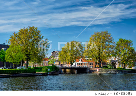 Canal in Haarlem, Netherlands 33788695