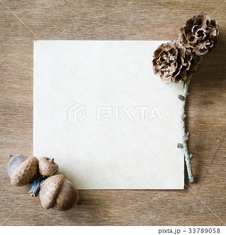 Empty Paper Sheet With Acorns and Cones. 33789058