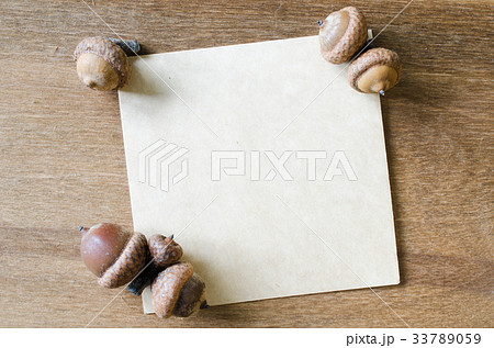 Empty Paper Sheet With Acorns and Cones. 33789059